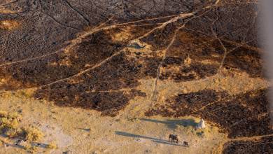 Botswana & Namibia: Delta & Dunes