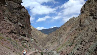 Peaks of Ladakh Trek