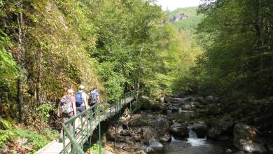 Hike Bulgaria’s Rodopi Mountains