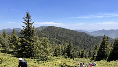 Hike Bulgaria’s Rodopi Mountains
