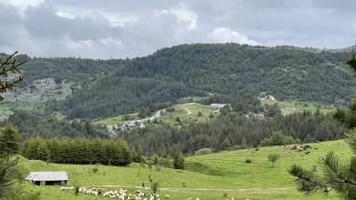 Hike Bulgaria’s Rodopi Mountains