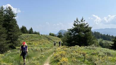 Hike Bulgaria’s Rodopi Mountains