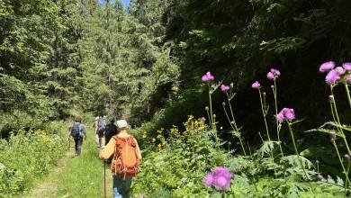 Hike Bulgaria’s Rodopi Mountains