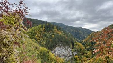 Hike Bulgaria’s Rodopi Mountains