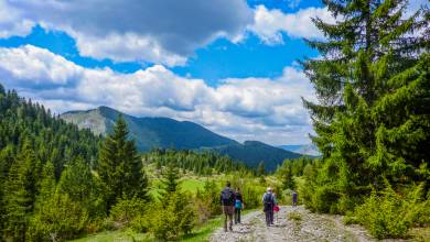 Hike Bulgaria’s Rodopi Mountains