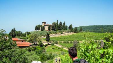 Tuscany Walks & Chianti Wines