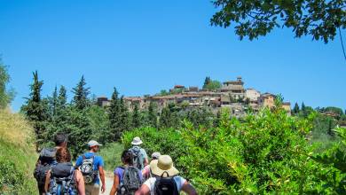 Tuscany Walks & Chianti Wines