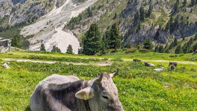 Hiking the Dolomites