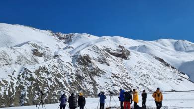 Search for Snow Leopards with Valerie Parkinson