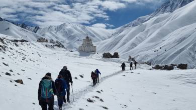 Search for Snow Leopards with Valerie Parkinson