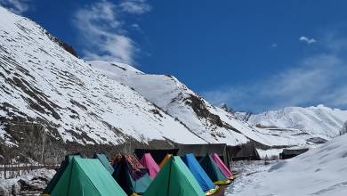 Search for Snow Leopards with Valerie Parkinson
