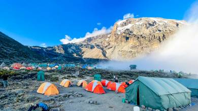 Kilimanjaro Climb – Lemosho Route