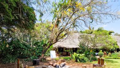 Kilimanjaro Climb – Lemosho Route