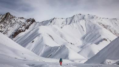 Search for Snow Leopards with Valerie Parkinson