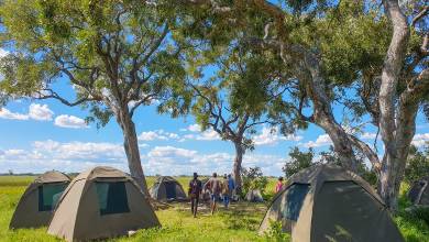 Botswana & Zimbabwe Lodge Safari