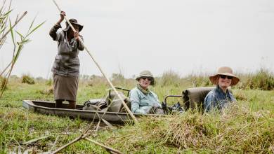 Botswana & Zimbabwe Lodge Safari