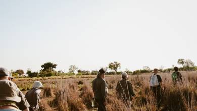 Botswana & Zimbabwe Lodge Safari