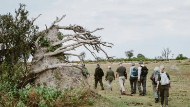 Botswana & Zimbabwe Lodge Safari