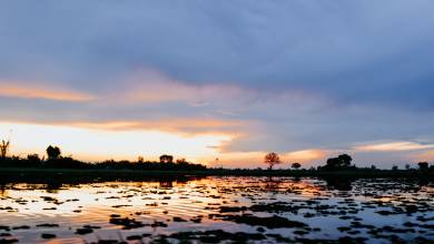 Botswana & Zimbabwe Lodge Safari
