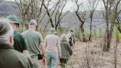 Botswana & Zimbabwe Lodge Safari