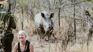 Botswana & Zimbabwe Lodge Safari