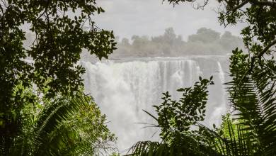 Botswana & Zimbabwe Lodge Safari
