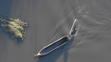 Botswana & Zimbabwe Lodge Safari