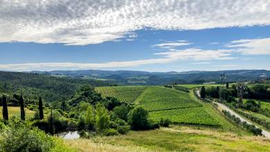 Tuscany Walks & Chianti Wines