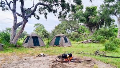 Wildlife & Wilderness of Botswana