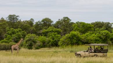 Wildlife & Wilderness of Botswana