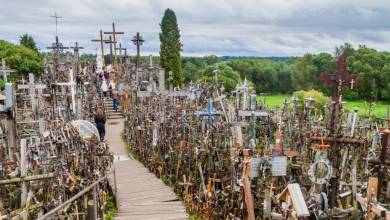 Discover the Baltics