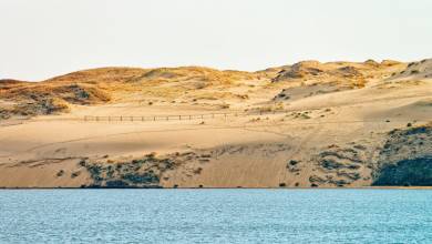 Discover the Baltics