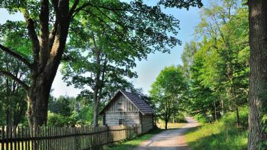 Discover the Baltics