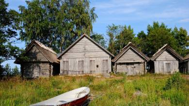 Discover the Baltics