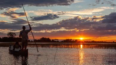 Wildlife & Wilderness of Botswana