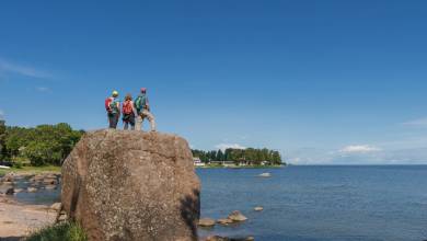 Discover the Baltics