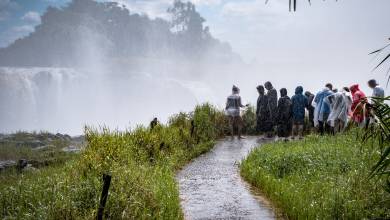 Wildlife & Wilderness of Botswana