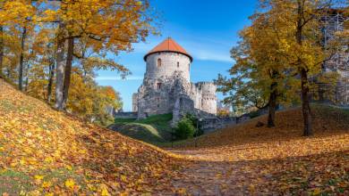 Discover the Baltics