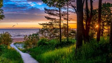 Discover the Baltics