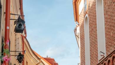 Discover the Baltics