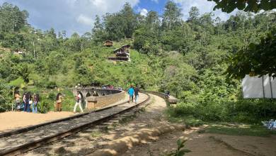 Sri Lankan Highlights