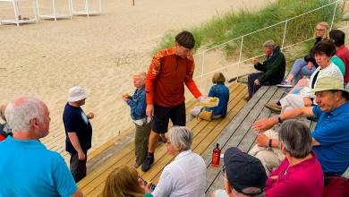 Discover the Baltics