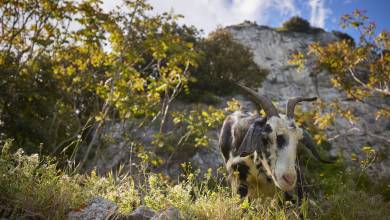 Amalfi Coast Family Adventure