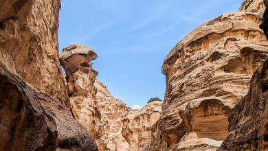 Petra & Wadi Rum Trek