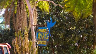 Pantanal – Land of the Jaguar