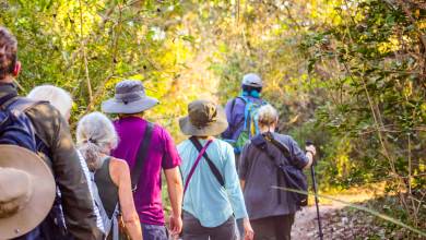 Pantanal – Land of the Jaguar