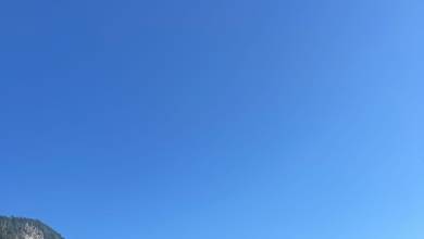 Whales & Bears of British Columbia