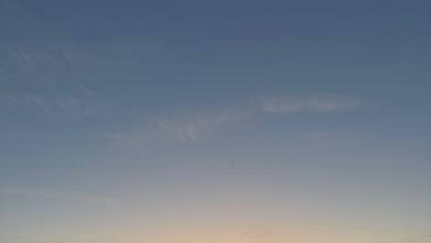 Whales & Bears of British Columbia