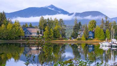 Whales & Bears of British Columbia