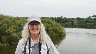 Chimps & Gorillas of Uganda